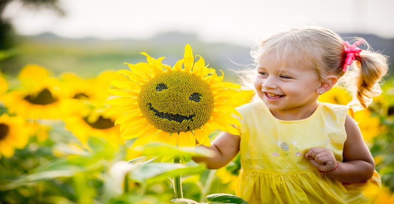 beautiful little girl in sunflowers